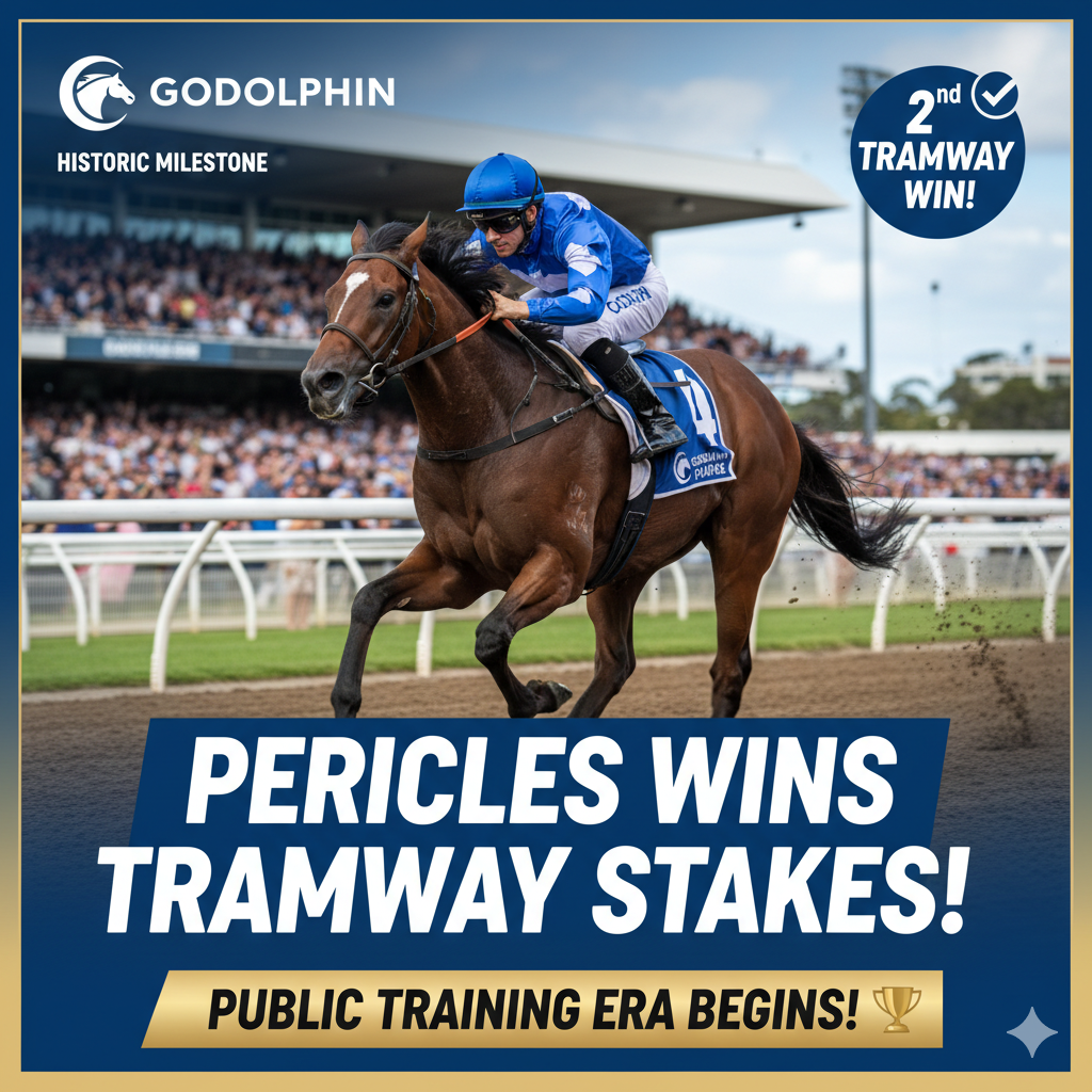 A dynamic image of racehorse Pericles, with a jockey in blue and white silks, galloping powerfully on a dirt track at Randwick Racecourse.
